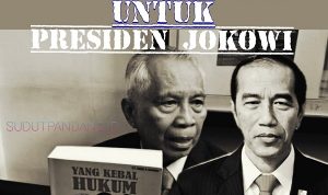 Novel Baswedan Kembali Jadi ASN, OC Kaligis Sampaikan Ini ke Jokowi