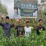 Panen Cabai Bersama Petani Milenial, Ini Harapan Calon Wakil Bupati Sambas Terpilih Fahrur Rofi
