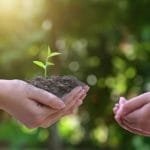 Wow, CEO Serayu Group Ungkap Rahasia Menanam Pohon Tercepat