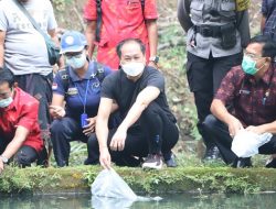 Wabup Suiasa Tebar 20.000 Benih Ikan Nila di Banjar Belawan Abiansemal
