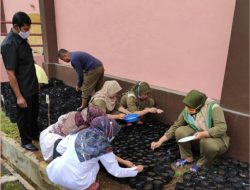 Tanam Sayur, Cara Kreatif SMA Negeri Unggulan MH Thamrin Jakarta di Masa Pandemi