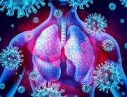 Data Terbaru Kasus Positif Covid