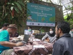 Animal Friends Jogja Fasilitasi Peternak Ayam Beralih ke Sistem Bebas Kandang Baterai