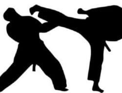 Bentrok Perguruan Silat, 3 Pendekar Terluka
