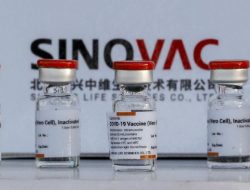 RI Dapat Hibah 1 Juta Dosis Vaksin Sinovac