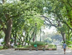 Pemkot Jakbar Manfaatkan Taman Kota