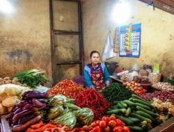 Kementan Jamin Pasokan 11 Komoditas Pangan Aman