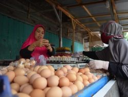 BPS: Pekan Ketiga Februari Harga Telur Meningkat di 182 Daerah