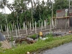 Waduh! Ada Kandang Babi Dibangun di Gianyar Diduga Tak Berizin