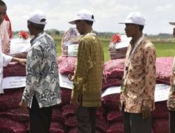 Jokowi Sampaikan Keluhan Petani Bawang ke Kemendag