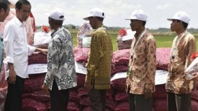 Jokowi Sampaikan Keluhan Petani Bawang ke Kemendag
