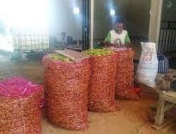 Harga Cabai Mahal Jelang Nataru, Mendag Blak-blakan