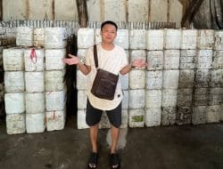 Curhat UMKM Minyak Jelantah, Usaha Terhenti Akibat Permendag