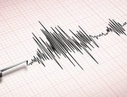 Puluhan Rumah dan Sekolah Rusak Akibat Gempa