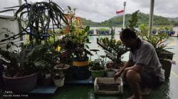 Tim Jelajah Kebangsaan Wartawan PWI tiba di Labuan Bajo Nusa Tenggara Timur