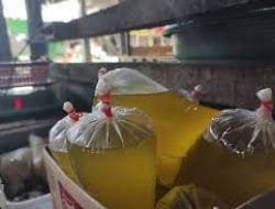 Minyak Goreng Kemasan di Pasar Tradisional Masih Mahal