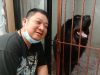 Sahabat Baru Ki Kusumo, Tibetan Mastiff Seharga Miliaran Rupiah