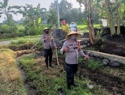 Pegang Cangkul, Polisi di Abiansemal Kembali Garap Lahan Tidur