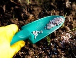 Mentan: Cek Kesiapan Supply Pupuk untuk Petani