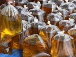 Menko Luhut Ungkap Rencana Penghapusan Minyak Goreng Curah