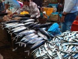 Harga Ikan Laut dan Cabai Rawit Melonjak di Tangsel pada Pekan Pertama Ramadan