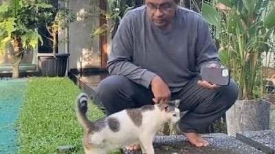 Anies Kucing