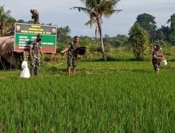 Kodim 1616/Gianyar Lakukan Pendampingan terhadap Petani