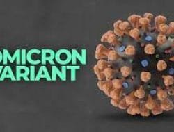 Begini Strategi Pemerintah Antisipasi Masuknya Varian Omicron XE