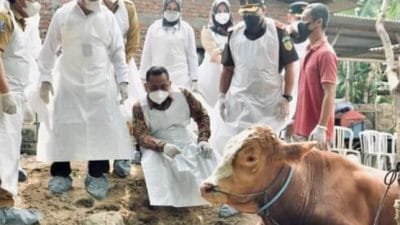 Mentan SYL Tegaskan Wabah PMK Berada di Level Ringan