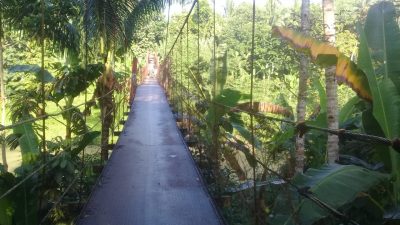 Dear Bupati Iti, Warga Kampung Sabrang Cileles Minta Jembatan Diperbaiki