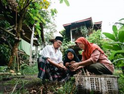 Organisasi Petani-Pemerintah Mobilisasi Nasional Konsensus Gerakan Pertanian Keluarga