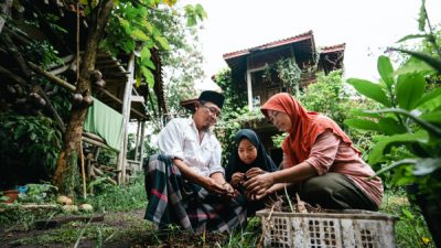 Organisasi Petani-Pemerintah Mobilisasi Nasional Konsensus Gerakan Pertanian Keluarga