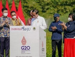 Pembibitan Rumpin dan Agenda Mangrove, Contoh Konkret Pemulihan Lingkungan