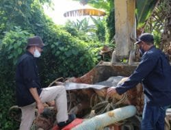 Gakkum LHK Tahan Pemodal Tambang Ilegal di Parigi Moutong