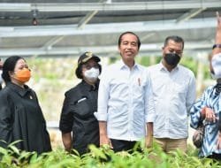 Presiden Jokowi: Pemerintah Serius Perbaiki Lingkungan pada Pembangunan IKN