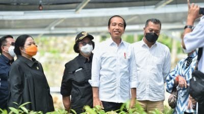 Presiden Jokowi: Pemerintah Serius Perbaiki Lingkungan pada Pembangunan IKN