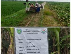 Pemdes Pasekan Bangun Jalan Usaha Tani Dengan DD