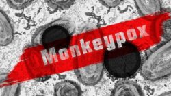Diserang Virus Cacar Monyet, Spanyol Mengonfirmasi Satu Warganya Meninggal