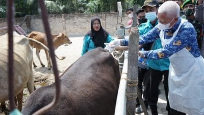 Bupati Asahan