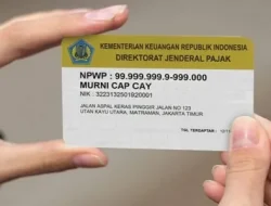 Kemenkeu Bocorkan Kesulitan Integrasi NIK dengan NPWP
