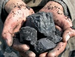 BPS: Harga Batu Bara Bakal Terus Naik Sampai Akhir Tahun