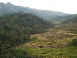 FSC Luncurkan Standar Sertifikasi Khusus Pengelolaan Petani Hutan