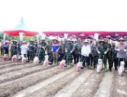 Dukung Ketahanan Pangan Nasional, Sinergi PHR-TNI AD Olah 100 Ha Tanaman Pangan