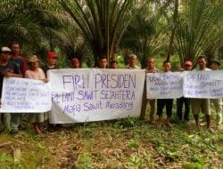 Capres Antikorupsi Paling Dicari, Petani Sawit Dukung Firli Nyapres