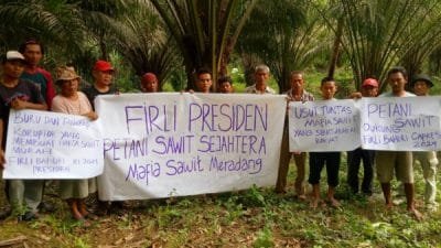 Capres Antikorupsi Paling Dicari, Petani Sawit Dukung Firli Nyapres