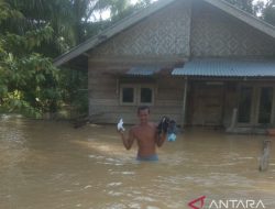 Banjir Masih Merendam Aceh Timur, Debit Air Diprakirakan Bertambah