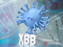 Ahli: COVID-19 Subvarian Omicron XBB Mampu Kelabui Antibodi