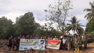 Tanam Bakau, Koalisi Anak Muda Kaimana Gandeng TNI-Polri