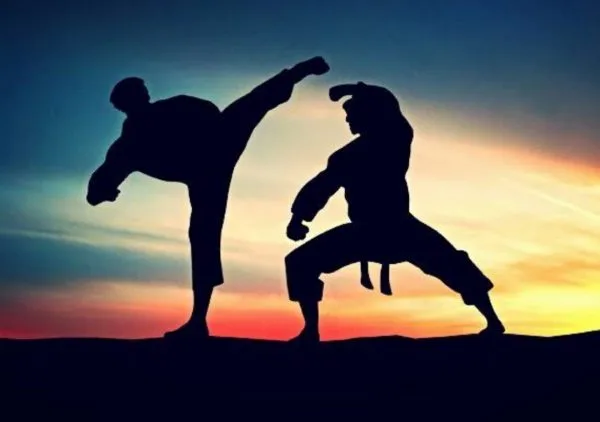 Ilustrasi Pencak Silat