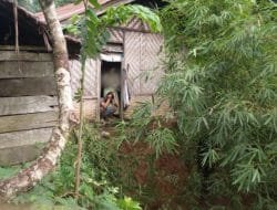 Rumah Warga Desa Silau Jawa Asahan Terancam Masuk Jurang